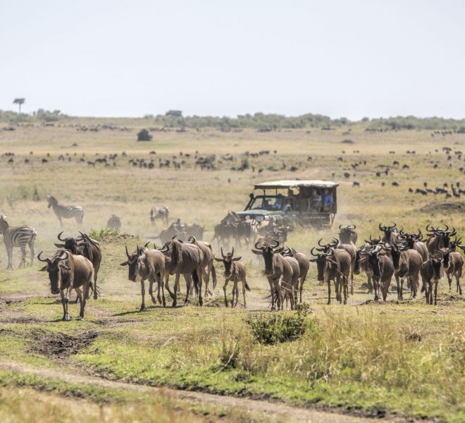 Safari-kenia