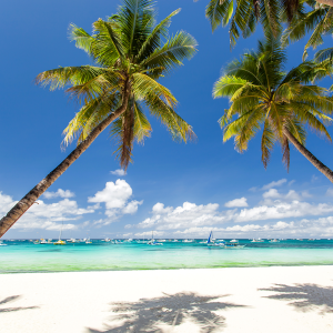 Stnadard - Boracay, Philippines